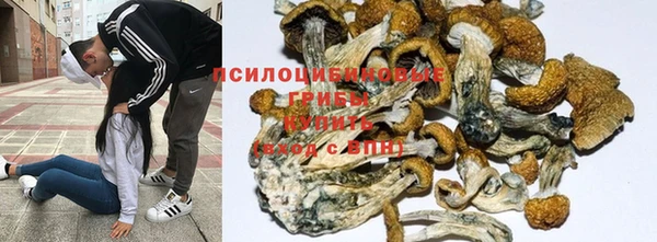 бутират Балабаново
