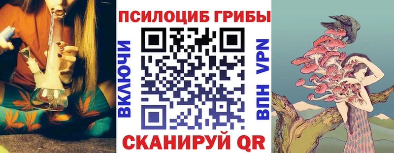 blacksprut как зайти  Шали  Галлюциногенные грибы Cubensis 